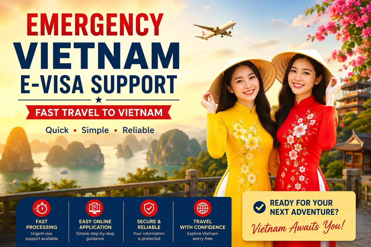 Emergency Vietnam E-visa Support